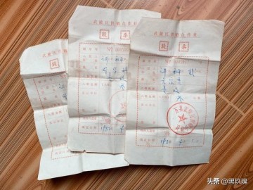 jiuyou-严打又回来了？但这次和80年代完全不同，普通人只需要记住这3条